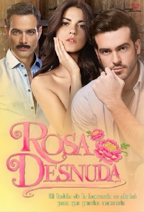 rosa-desnuda-logo-telenovela-poster-maite-perroni-pablo-lyle-y-luis-roberto-guzman.jpg